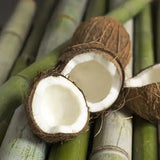 Bamboo + Coconut