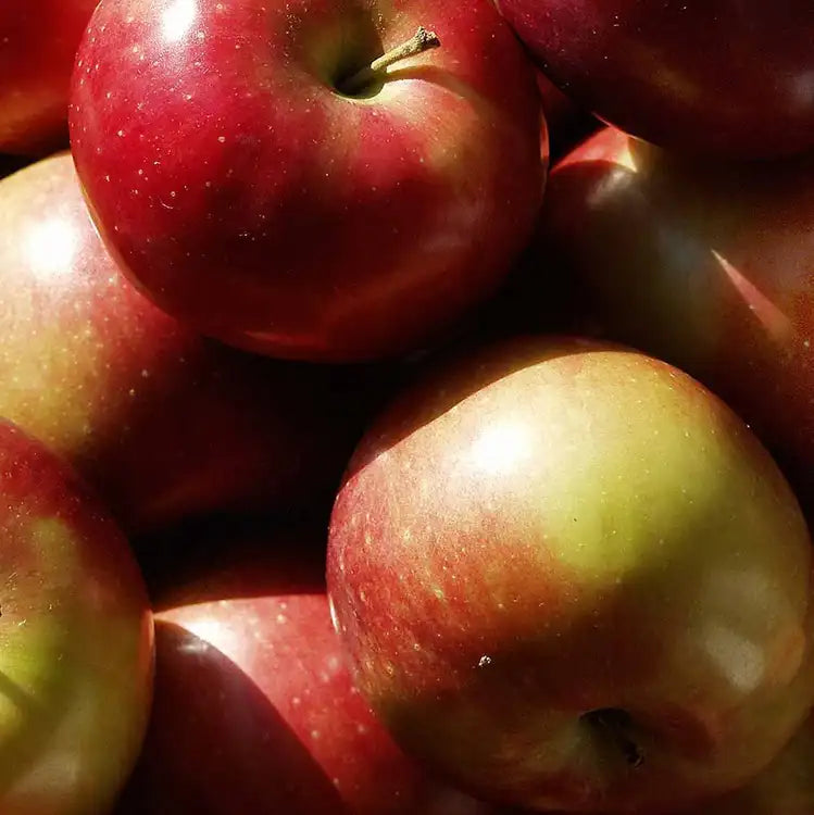 MACINTOSH APPLE FOAMING HAND SOAP