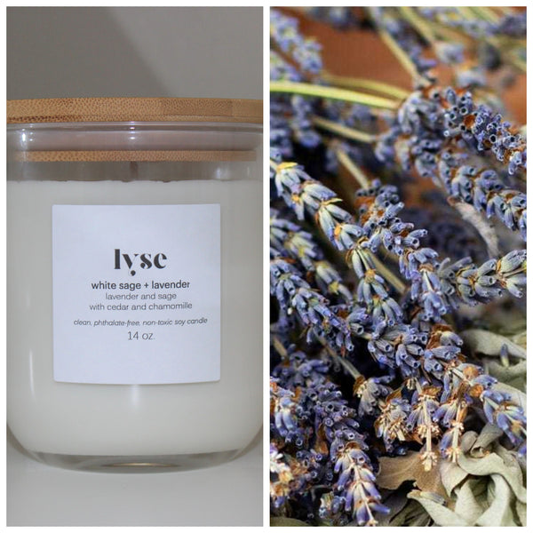 White Sage + Lavender