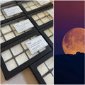 HARVEST MOON WAX MELTS