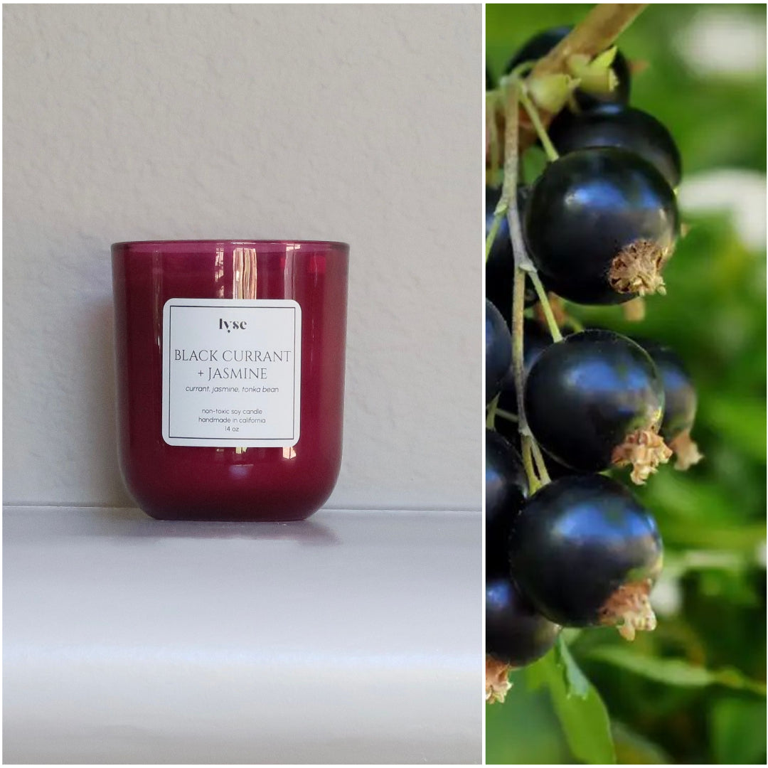 BLACK CURRANT + JASMINE