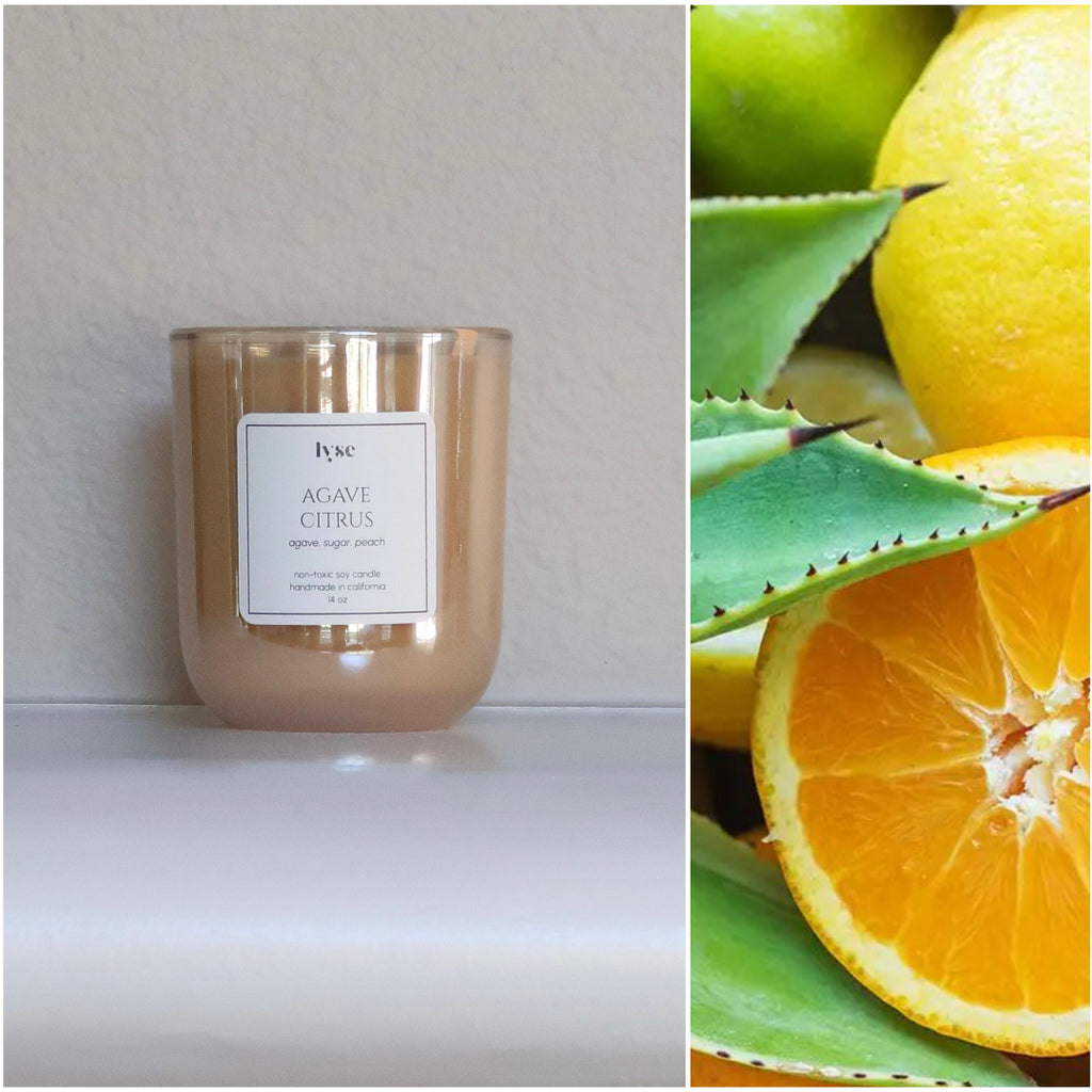 AGAVE CITRUS