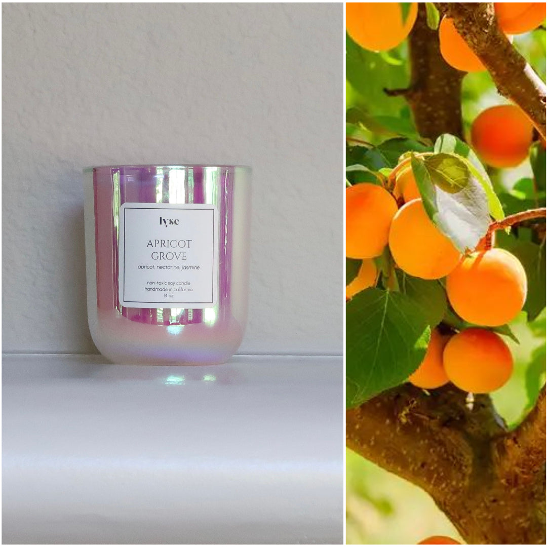 APRICOT GROVE