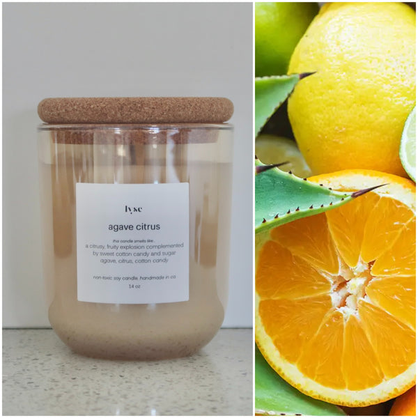 Agave Citrus