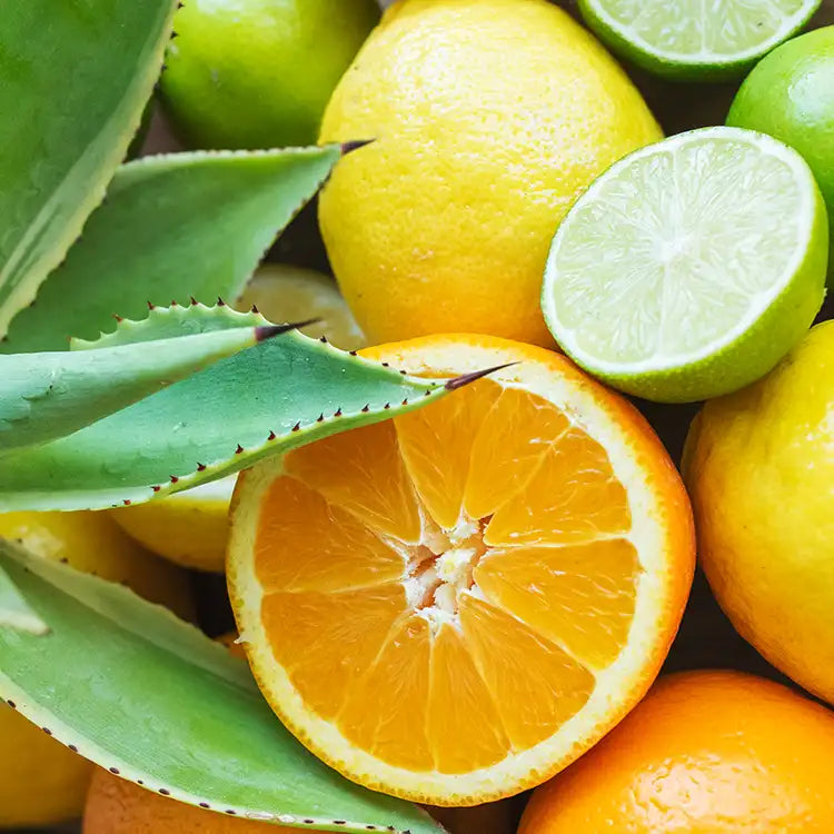AGAVE CITRUS