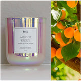 Apricot Grove