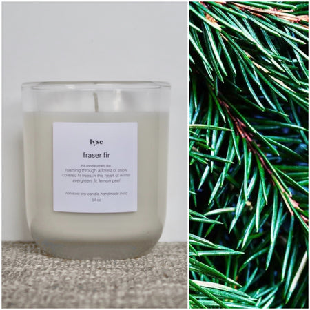Fraser Fir Tree
