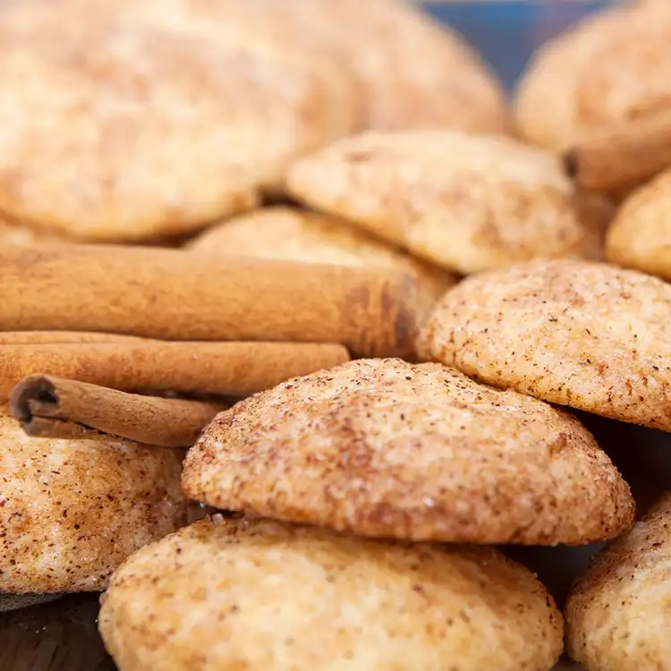 SNICKERDOODLE