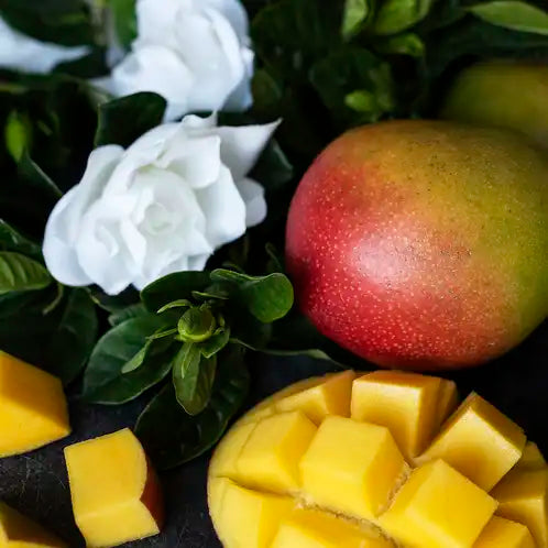 MANGO + GARDENIA WAX MELTS