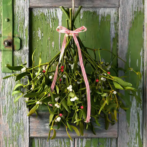 MISTLETOE