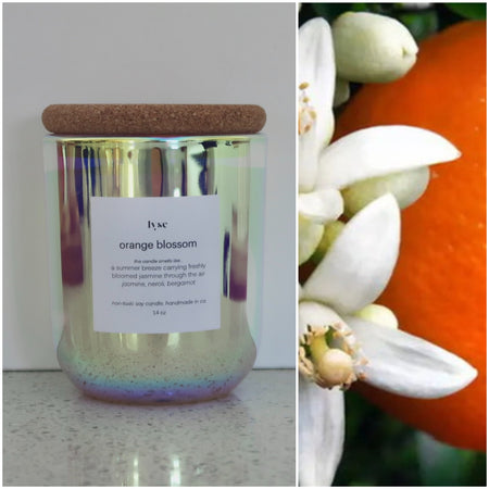 Orange Blossom