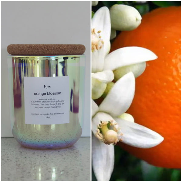 Orange Blossom