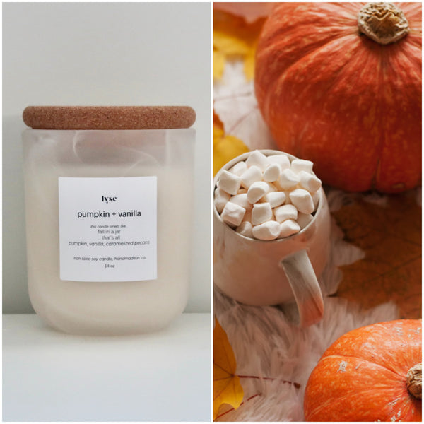 Pumpkin + Vanilla