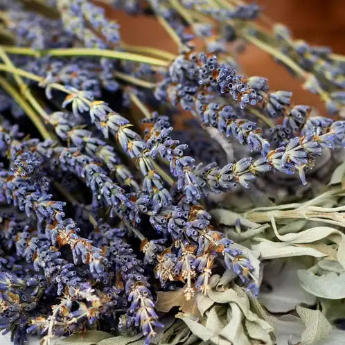 WHITE SAGE + LAVENDER